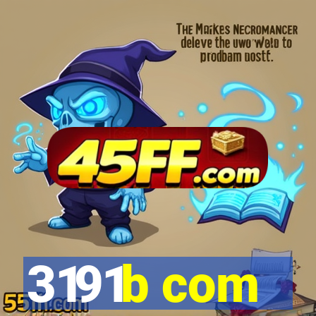 3191b com